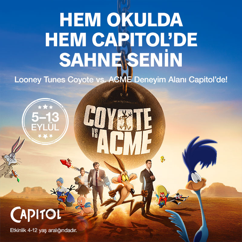 Coyote Acme 800X800 (4)